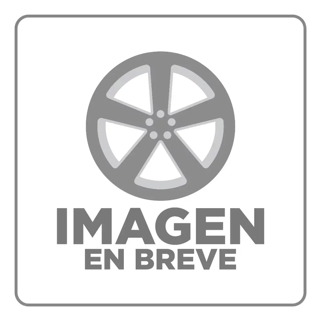 RIN 15X7 4-100/114.3 R1 SPORT 5836 SILVER MACHINE FACE ET30 CB73.1